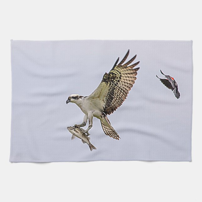 Linge De Cuisine Balbuzard chassé par un merle à ailes rouges (Horizontal)