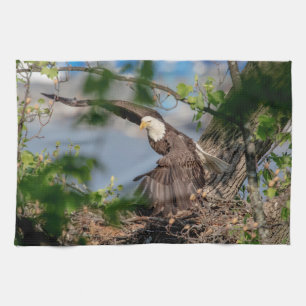 Linge De Cuisine Bald Eagle quittant le nid