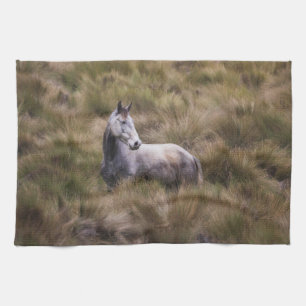 Linge De Cuisine Beau cheval de couleur grise