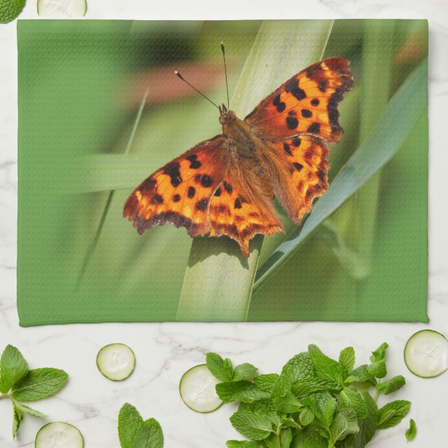 Linge De Cuisine Beautiful Orange Satyr Comma Butterfly (Plié)