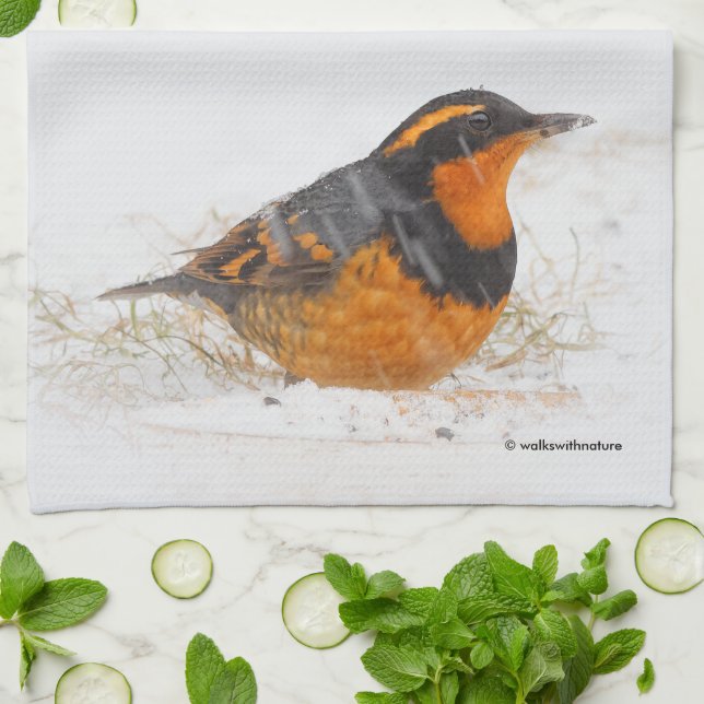 Linge De Cuisine Beautiful Varied Thrush Songbird in the Snow (Plié)