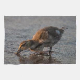 Linge De Cuisine Bébé soif