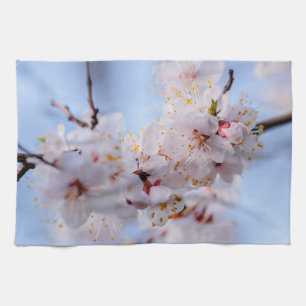 Linge De Cuisine Blossom des abricots japonais