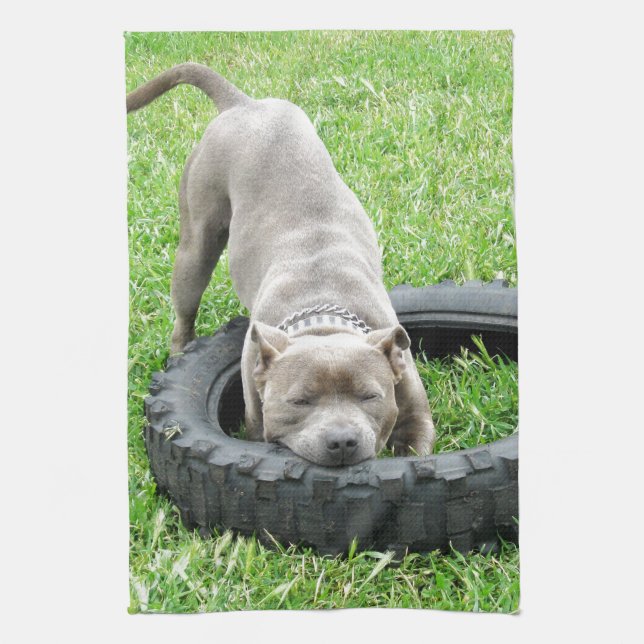 Linge De Cuisine Blue Young Stafford Bull Terrier (Vertical)