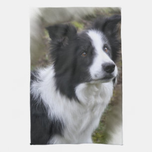 Linge De Cuisine Border collie art