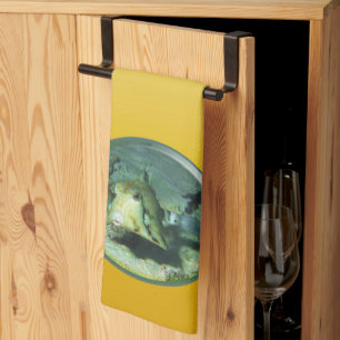 Linge De Cuisine Boxfish - tellement mignon ! Conception photograph