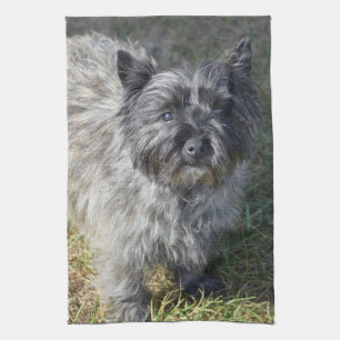 Linge De Cuisine Cairn Terrier noir