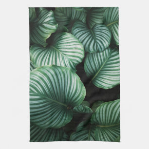 Linge De Cuisine Calathea feuille, plat plante tropical rayé