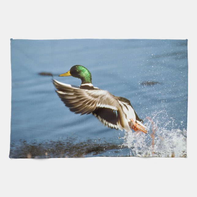 Linge De Cuisine Canard de Mallard Drake (Horizontal)