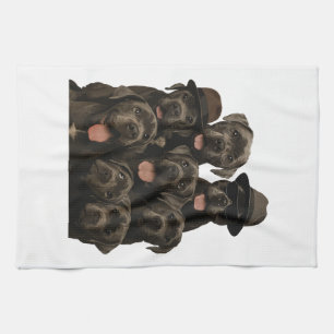 Linge De Cuisine Cane Corso