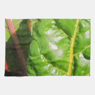 Linge De Cuisine Chaînes suisses