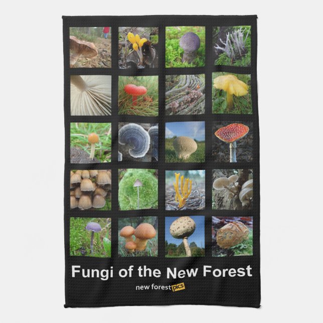 Linge De Cuisine Champignons du nouveau teatowel de forêt (Vertical)