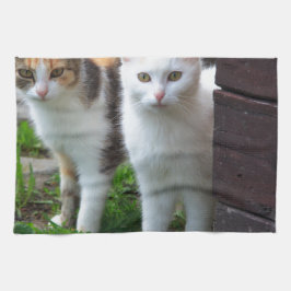 Linge De Cuisine Chats dehors en train de jouer