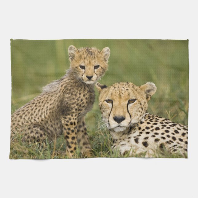 Linge De Cuisine Cheetah, Acinonyx jubatus, avec Cub (Horizontal)