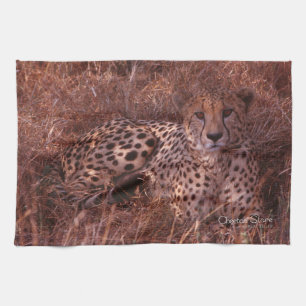 Linge De Cuisine Cheetah Stare