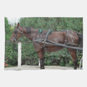Linge De Cuisine Cheval Amish