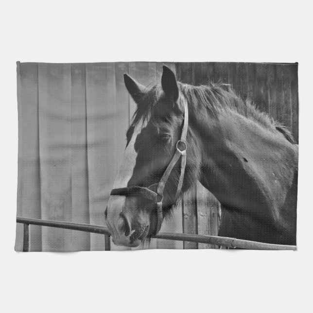 Linge De Cuisine Cheval blanc noir - Art de la photographie animale (Horizontal)