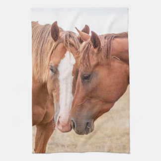Linge De Cuisine Chevaux étourdissant dans un pâturage