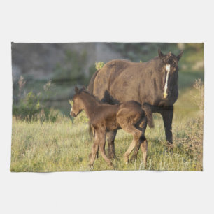 Linge De Cuisine Chevaux sauvages au parc national Theodore Rooseve