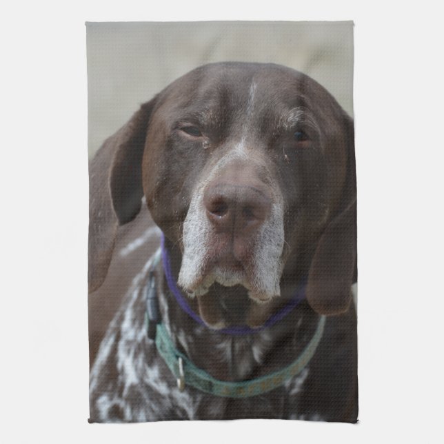Linge De Cuisine Chien allemand d'indicateur aux cheveux courts (Vertical)
