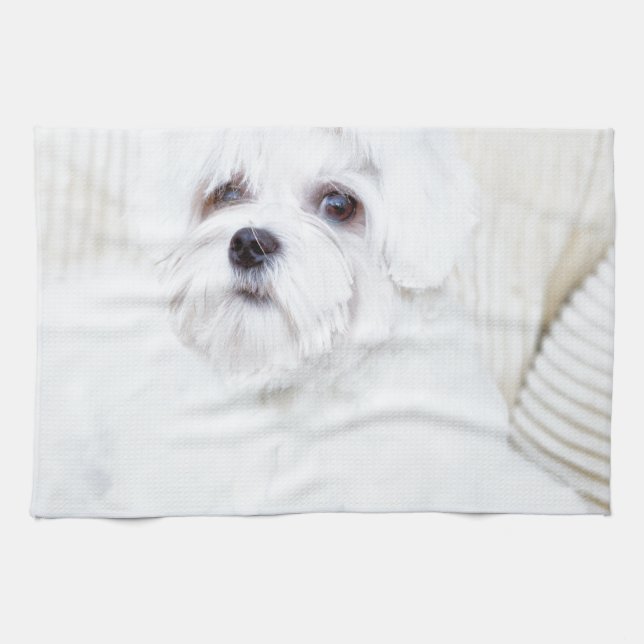 Linge De Cuisine Chien maltais mignon (Horizontal)