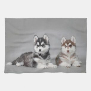 Linge De Cuisine Chiots de chien de traîneau sibérien