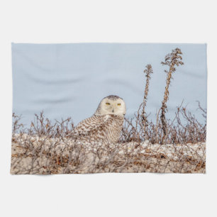 Linge De Cuisine Chouette neige assise sur la plage