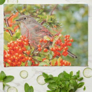 Linge De Cuisine Colibri solitaire de Townsend sur la Pyracantha