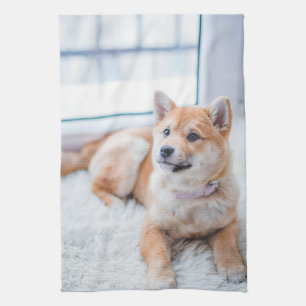 Linge De Cuisine Concevez votre propre photo Chien Chien Chien Chie
