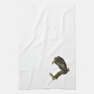 Linge De Cuisine Condor de Californie par Audubon