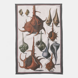 Linge De Cuisine Coquillages, Coquillages Marins Anciens, Vie Marin