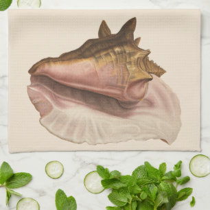 Linge De Cuisine Coquille de l'escargot de mer reine, coquillage, f