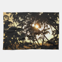 Coucher du soleil à travers les arbres I Photograp