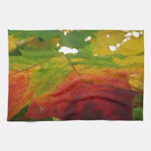 Linge De Cuisine Couleurs de la feuille d'érable Photographie de la