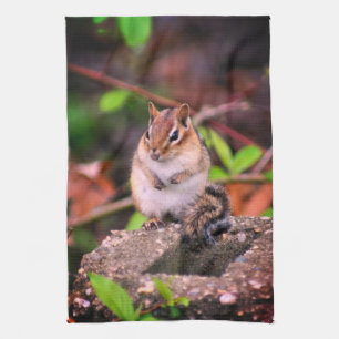 Linge De Cuisine Cute Chipmunk Faune 