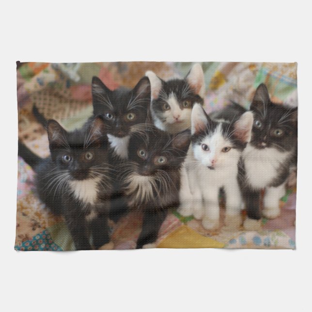 Linge De Cuisine Cutest Baby Animals | Black & White Kittens (Horizontal)