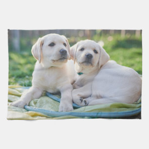 Linge De Cuisine Cutest Baby Animals Yellow Labrador Retrievers