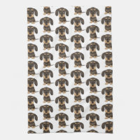 Dachshund À poils durs| Teckel Chien mignon