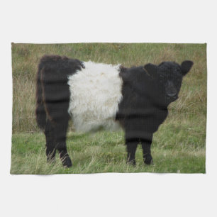 Linge De Cuisine Dartmoor a ceinturé le veau de Galloway