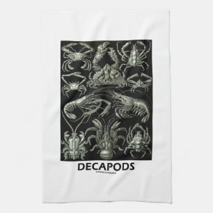 Linge De Cuisine Décapodes Ernest Haeckel Artforms de nature