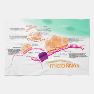 Linge De Cuisine Diagramme de microRNA