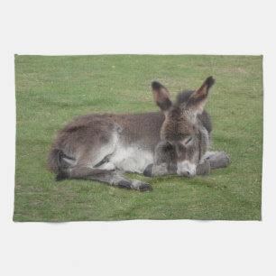 Linge De Cuisine Dormir mignon âne poulain bébé