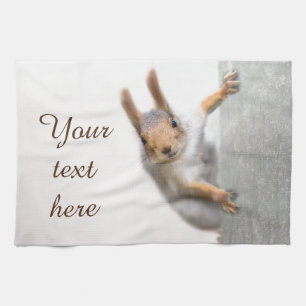 Linge De Cuisine Écureuil curieux