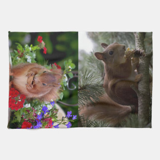 Linge De Cuisine Écureuils mignons