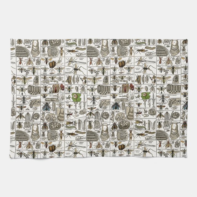 Linge De Cuisine Entomologie vintage (Horizontal)