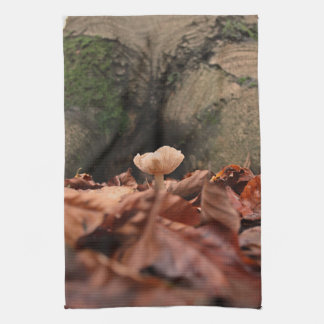 Linge De Cuisine Entre Les Troncs De L'Arbre