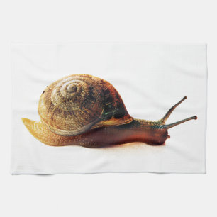 Linge De Cuisine escargot