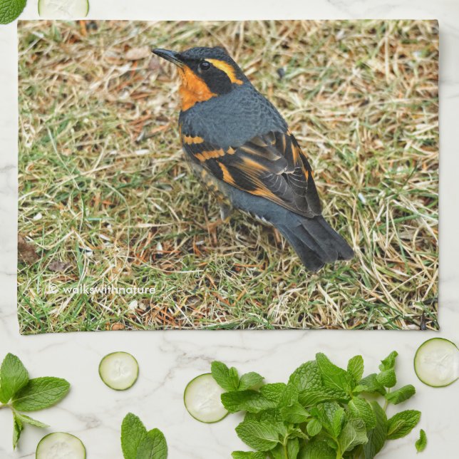 Linge De Cuisine Étonnant oiseau-chanteur à grive variée dans l'her (Plié)