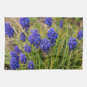 Linge De Cuisine Famille de raisins Hyacinths