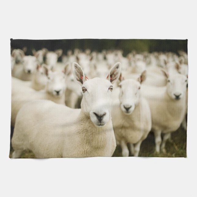 Linge De Cuisine Fermes | Troupeau de moutons (Horizontal)